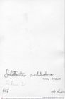 Historisches Foto (Rückseite) von Bullariscus arcuotorus (Robins, Feldmann & Schweitzer, 2013) (NHMW-AFW-GEO-BACHMAYER-FOTO-1990-0041-0456)